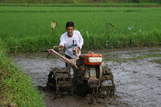 Detail Kerja Di Sawah Nomer 10