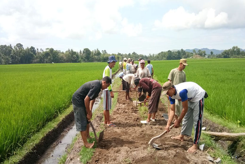 Detail Kerja Di Sawah Nomer 20