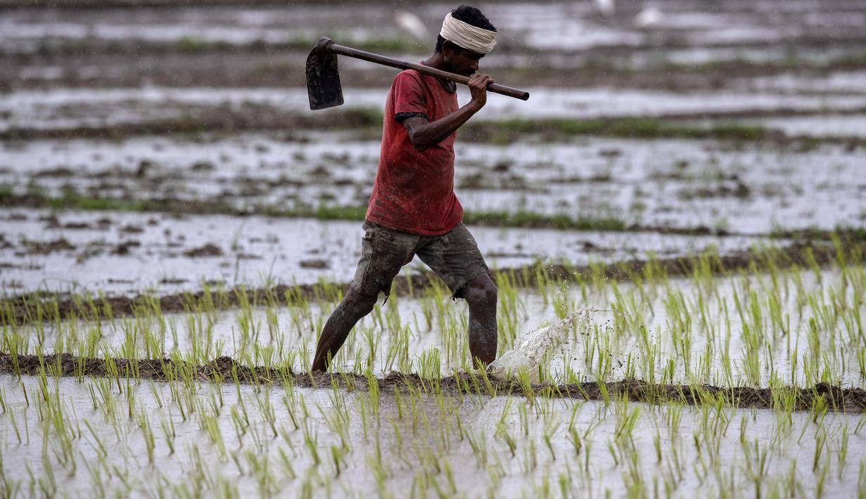 Detail Kerja Di Sawah Nomer 51