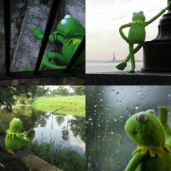 Detail Kermit Meme Generator Nomer 14