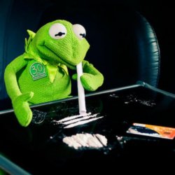 Detail Kermit Meme Generator Nomer 30