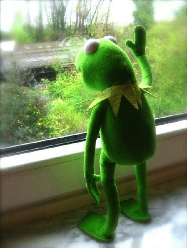 Detail Kermit Meme Generator Nomer 31