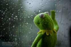 Detail Kermit Meme Generator Nomer 6