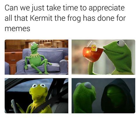 Detail Kermit The Frog Meme Nomer 19