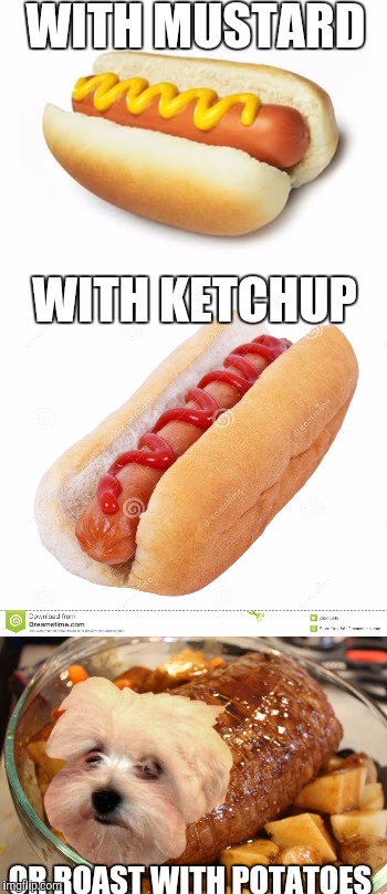 Detail Ketchup On Hot Dog Meme Nomer 6