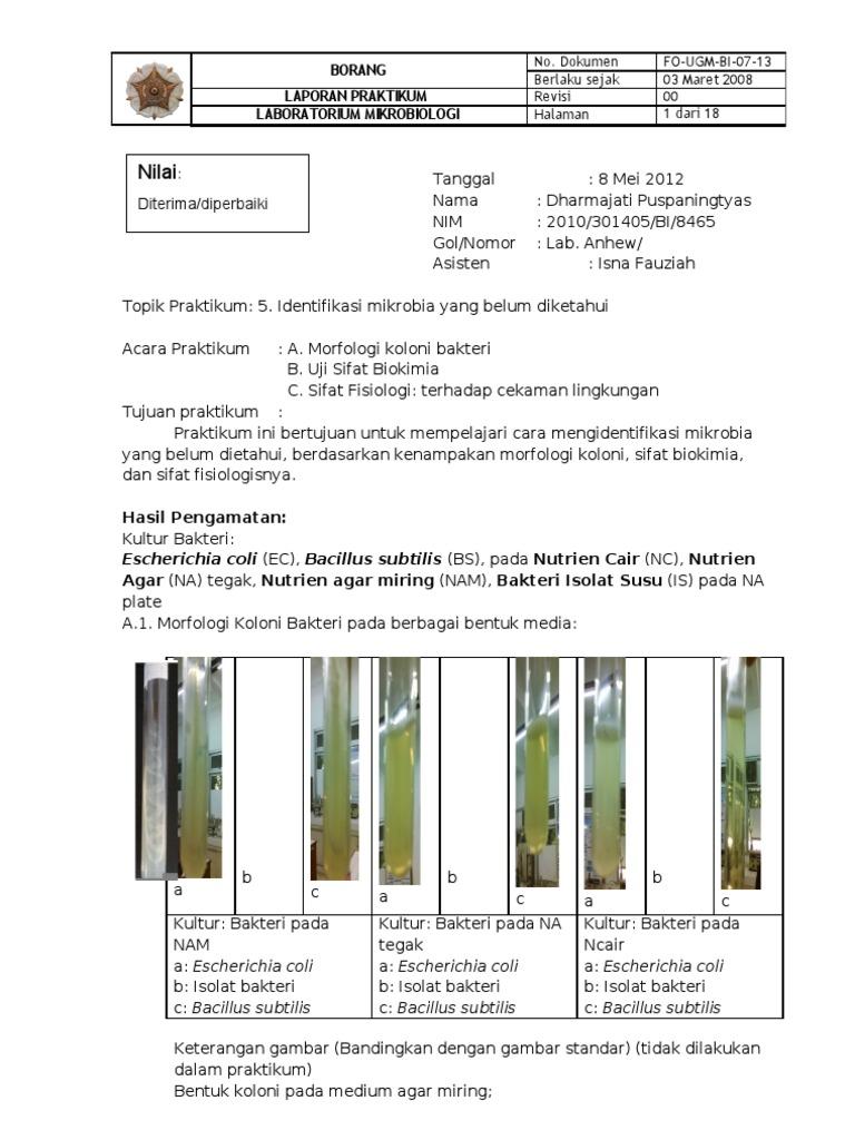 Detail Keterangan Gambar Di Laporan Miring Nomer 6