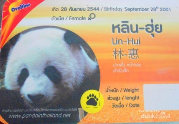 Detail Keterangan Tentang Panda Dan Gambar Nomer 15