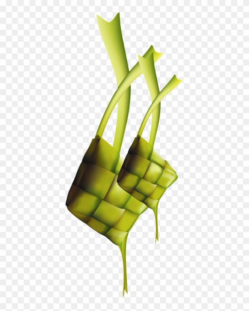 Detail Ketupat Png Vector Nomer 26