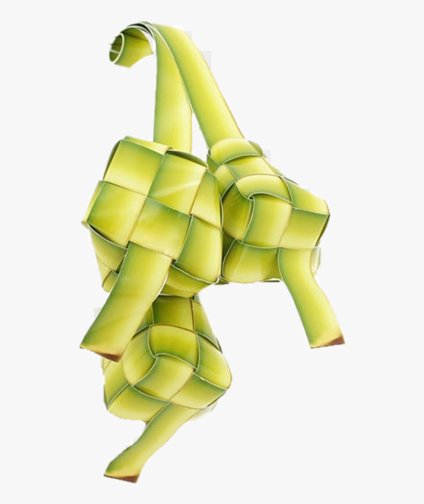 Detail Ketupat Vector Background Nomer 43