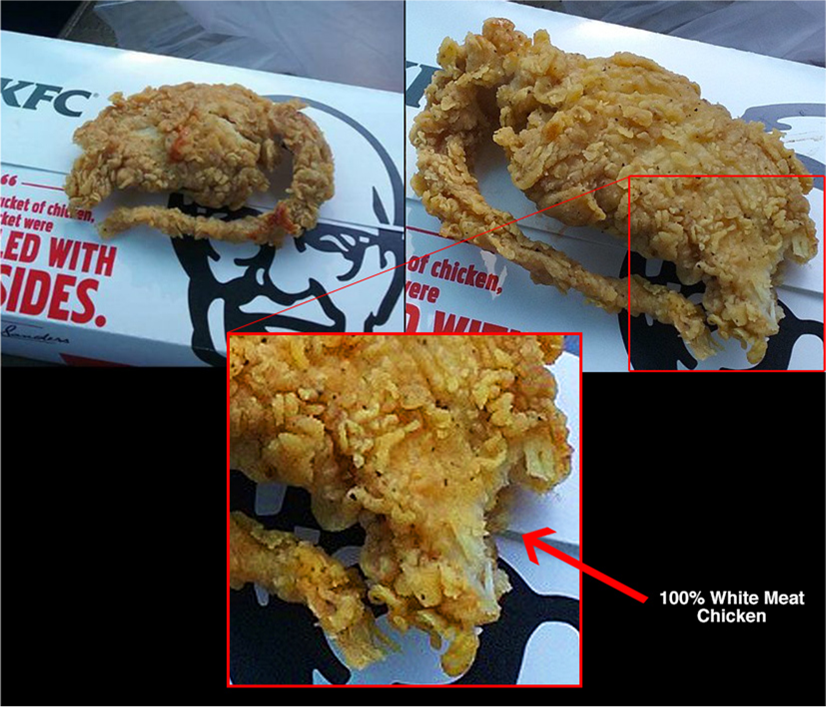 Detail Kfc Fried Rat Meme Nomer 2