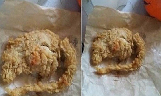 Detail Kfc Fried Rat Meme Nomer 27