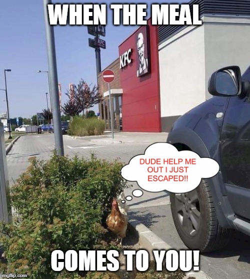 Detail Kfc Mouse Trap Meme Nomer 13