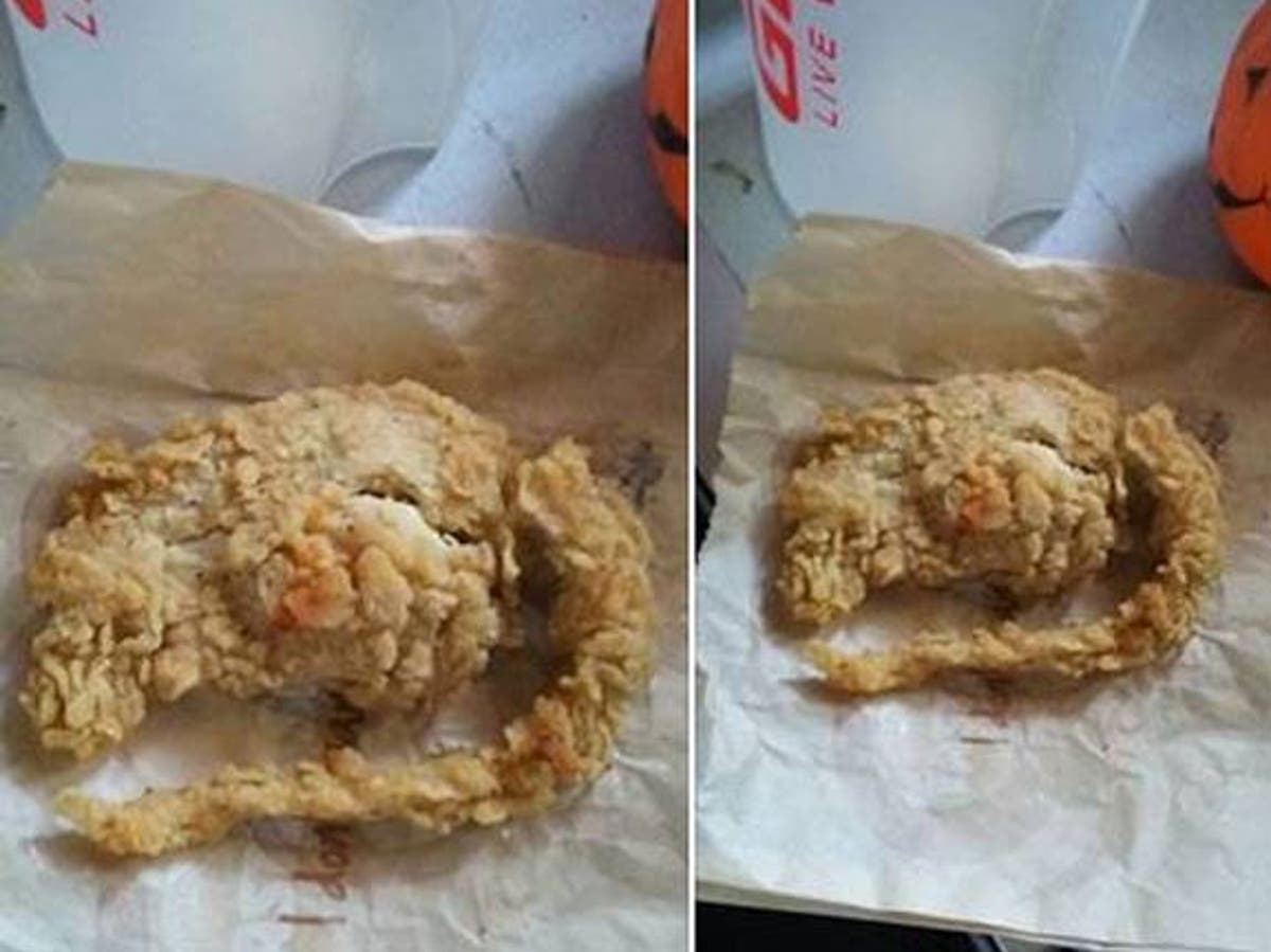 Detail Kfc Mouse Trap Meme Nomer 3