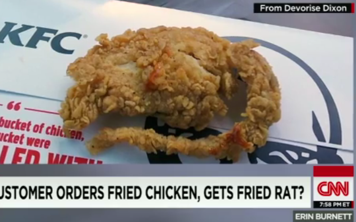 Detail Kfc Mouse Trap Meme Nomer 22
