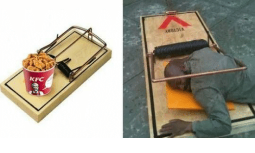 Detail Kfc Mouse Trap Meme Nomer 4