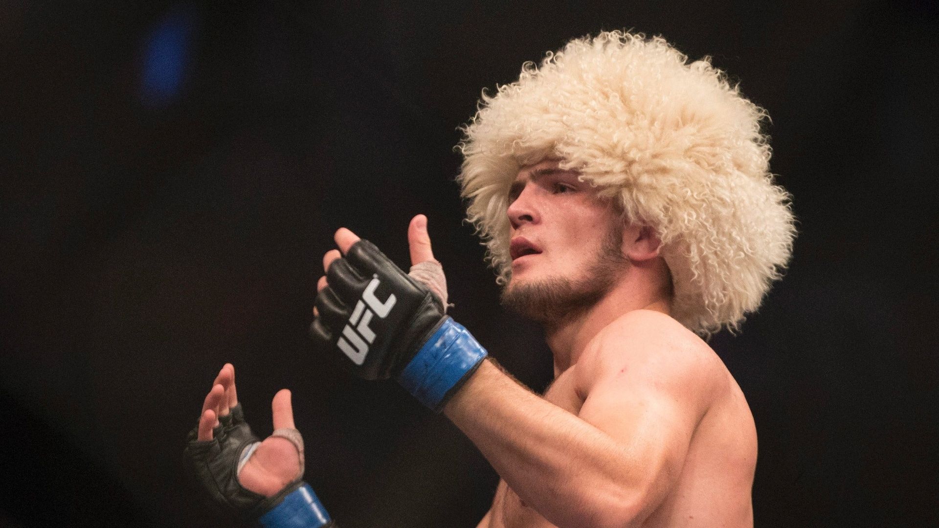 Detail Khabib Nurmagomedov Iphone Wallpaper Nomer 45