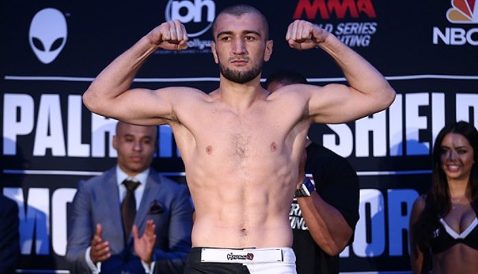 Detail Khabib Nurmagomedov Siblings Nomer 34