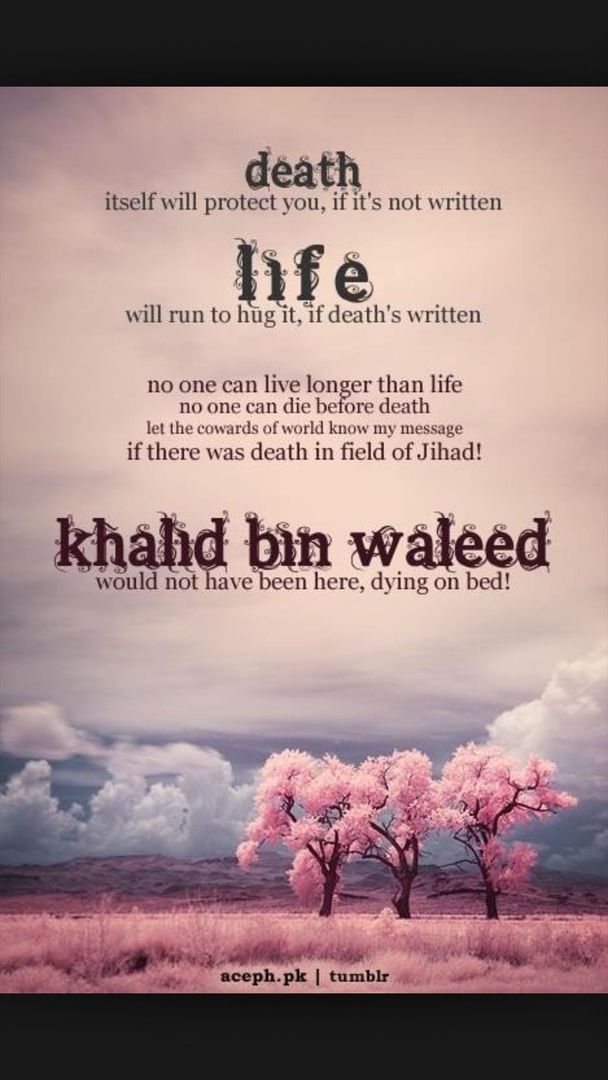 Detail Khalid Bin Walid Quotes Nomer 8