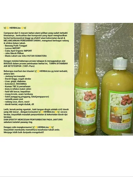 Detail Khasiat Jahe Merah Bawang Putih Tunggal Lemon Cuka Apel Madu Nomer 15