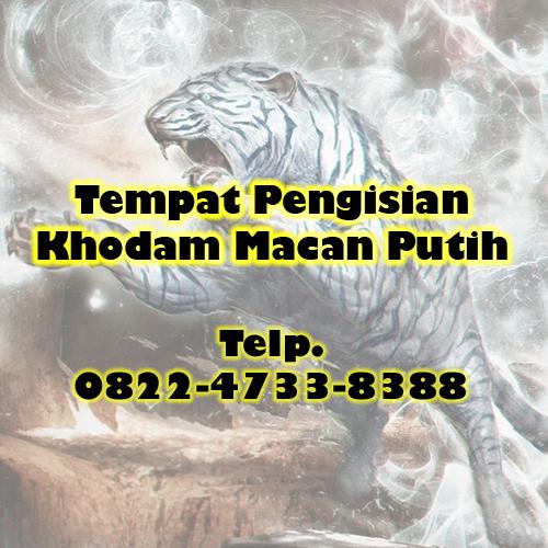 Detail Khodam Macan Putih Gratis Nomer 8