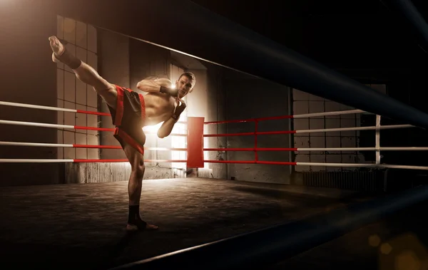 Detail Kickboxing Images Free Nomer 11