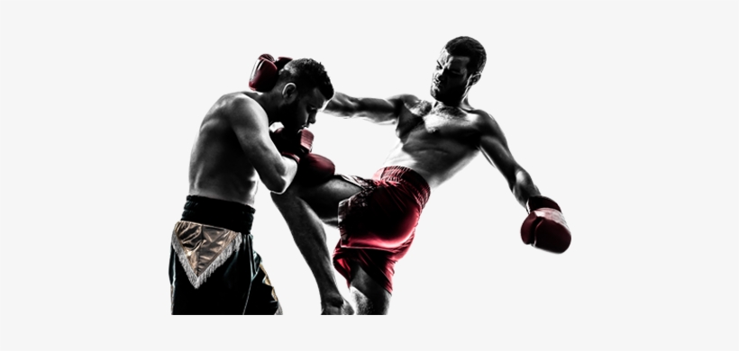 Detail Kickboxing Images Free Nomer 24