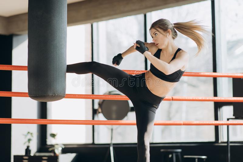 Detail Kickboxing Images Free Nomer 37