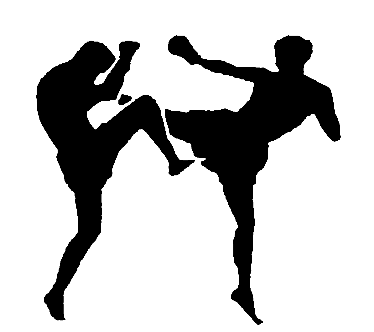 Detail Kickboxing Images Free Nomer 40