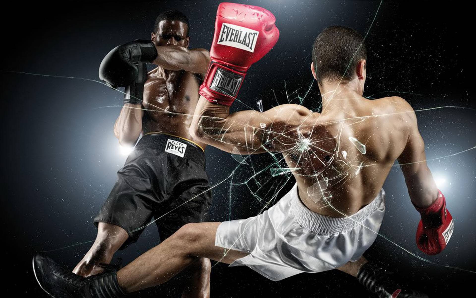 Detail Kickboxing Images Free Nomer 9