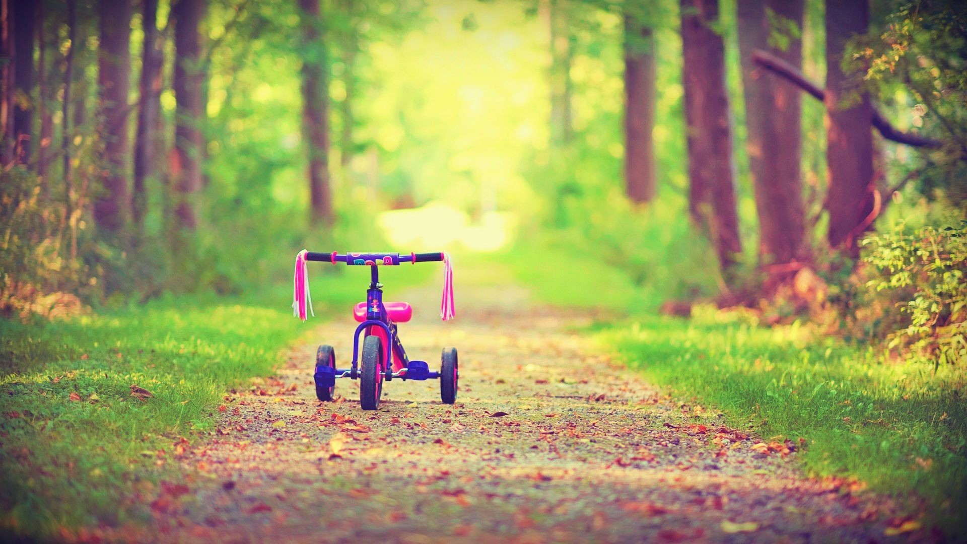 Detail Kid Wallpaper Hd Nomer 46