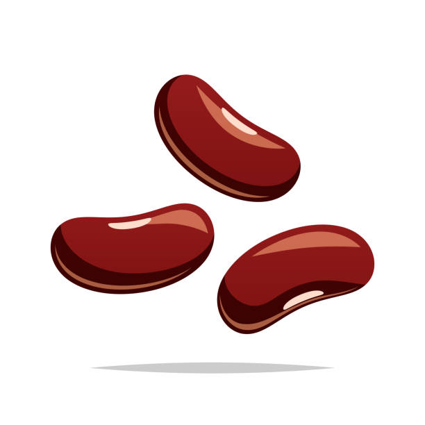Kidney Bean Clipart - KibrisPDR