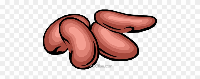 Detail Kidney Bean Clipart Nomer 12