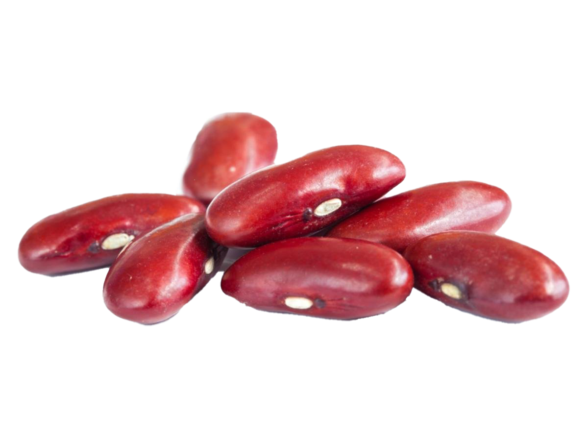 Detail Kidney Bean Clipart Nomer 13