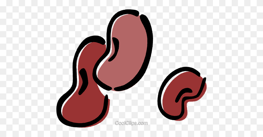 Detail Kidney Bean Clipart Nomer 19