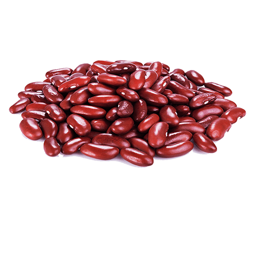 Detail Kidney Bean Clipart Nomer 34
