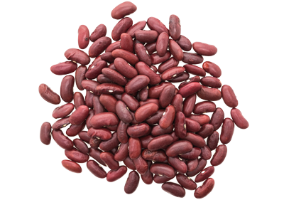 Detail Kidney Bean Clipart Nomer 36