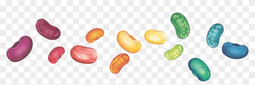 Detail Kidney Bean Clipart Nomer 42