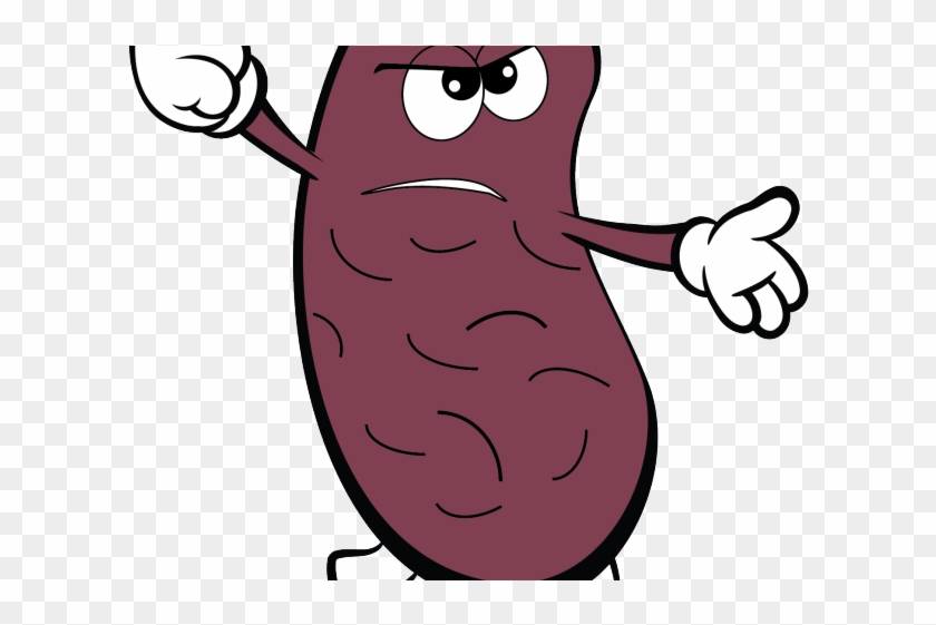 Detail Kidney Bean Clipart Nomer 7