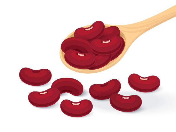 Detail Kidney Bean Clipart Nomer 8