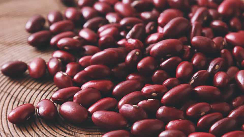 Detail Kidney Bean Image Nomer 16