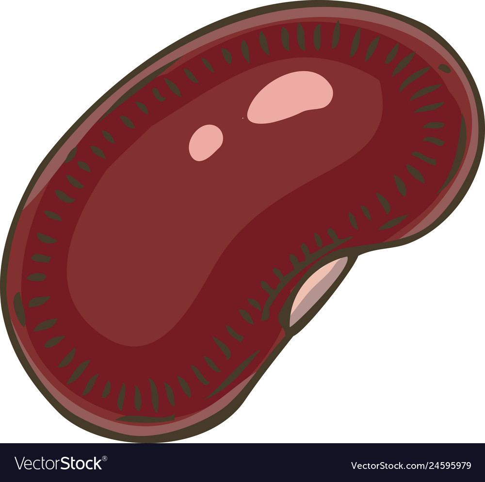 Detail Kidney Bean Image Nomer 25