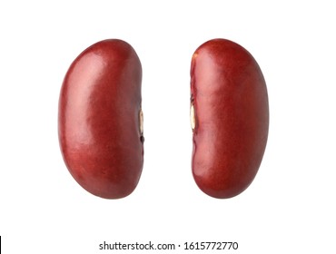 Detail Kidney Bean Image Nomer 6