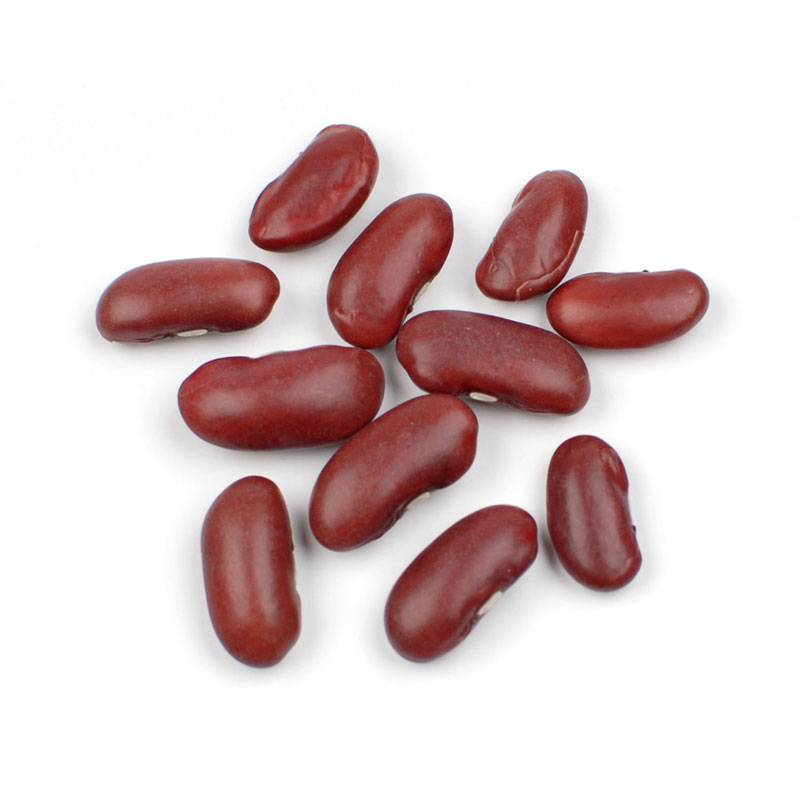 Detail Kidney Bean Image Nomer 10