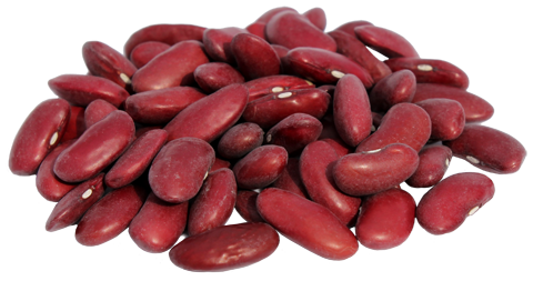 Detail Kidney Beans Clip Art Nomer 14