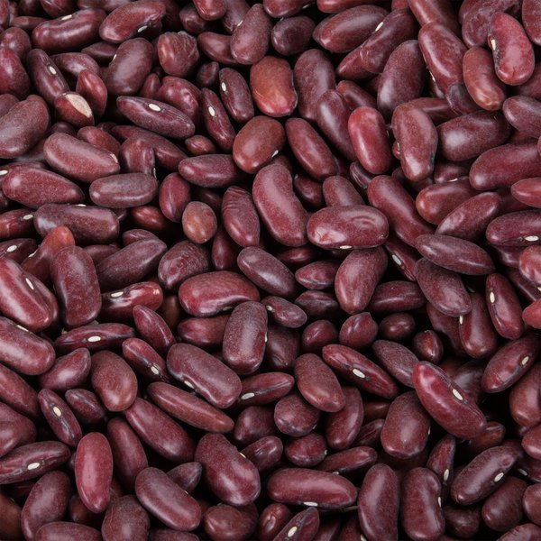 Detail Kidney Beans Images Nomer 11