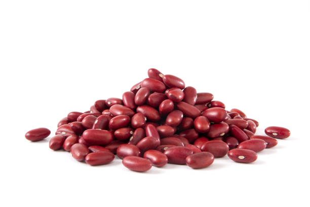 Detail Kidney Beans Images Nomer 18