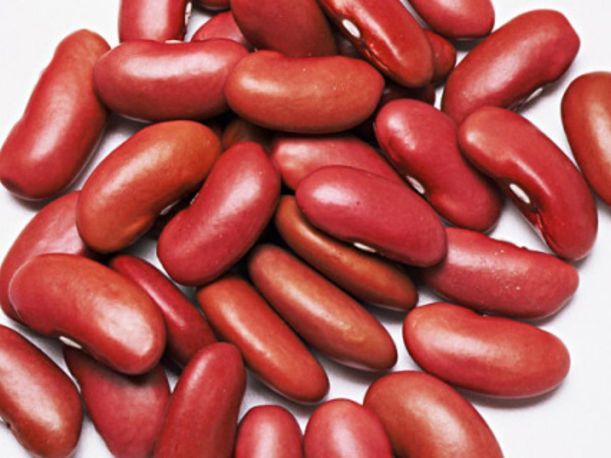 Detail Kidney Beans Images Nomer 19