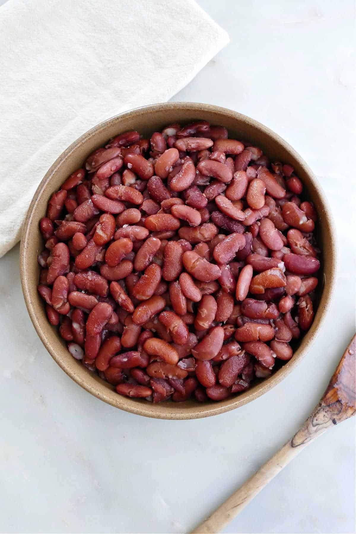 Detail Kidney Beans Images Nomer 31