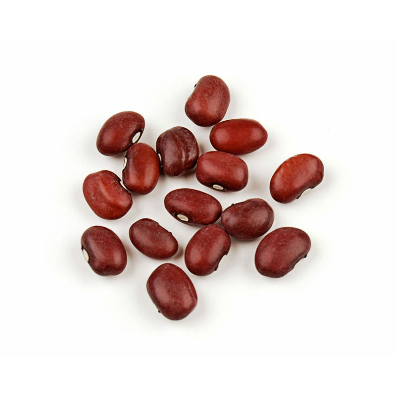 Detail Kidney Beans Images Nomer 32