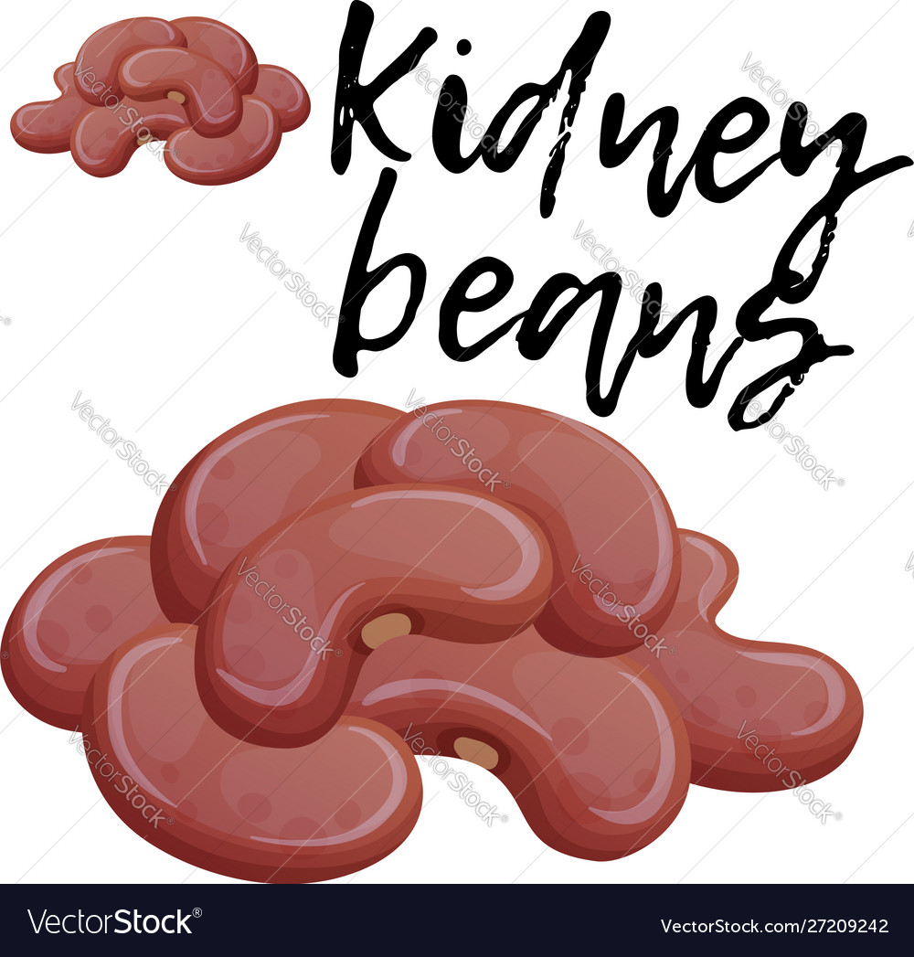 Detail Kidney Beans Images Nomer 34